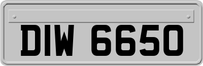 DIW6650