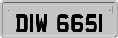 DIW6651