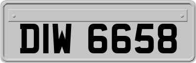 DIW6658