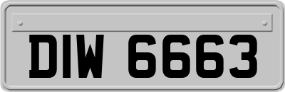 DIW6663