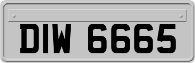 DIW6665