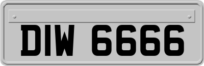 DIW6666