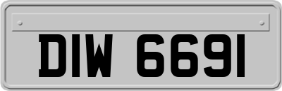 DIW6691