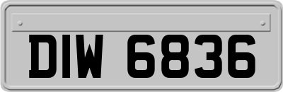 DIW6836