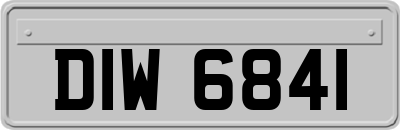 DIW6841