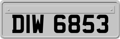DIW6853