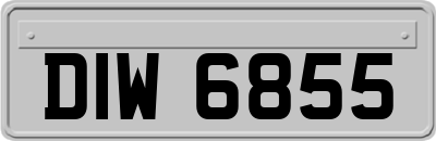 DIW6855