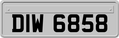 DIW6858