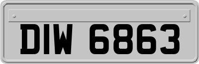 DIW6863