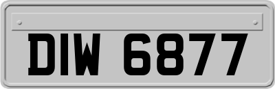 DIW6877
