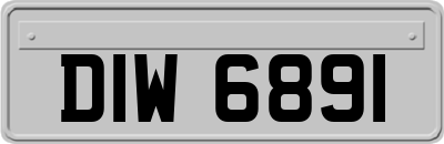 DIW6891