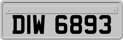 DIW6893