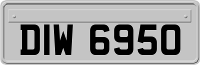 DIW6950