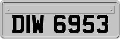 DIW6953