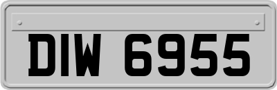 DIW6955