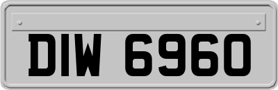 DIW6960