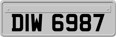 DIW6987