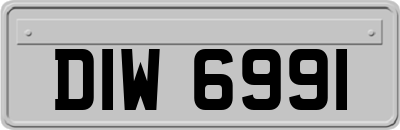 DIW6991