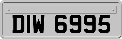 DIW6995