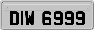 DIW6999
