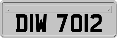 DIW7012