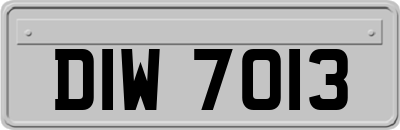 DIW7013