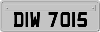 DIW7015