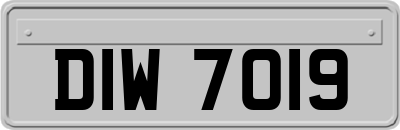 DIW7019