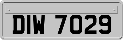 DIW7029