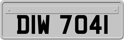 DIW7041