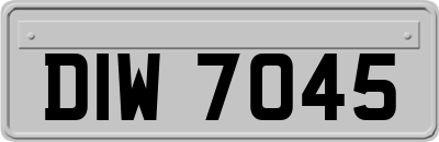 DIW7045