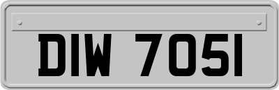 DIW7051