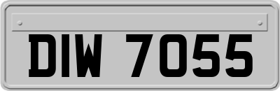 DIW7055