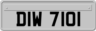 DIW7101