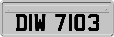 DIW7103