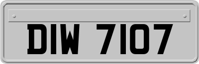 DIW7107