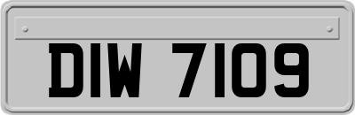 DIW7109