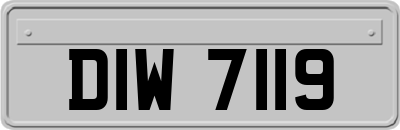 DIW7119