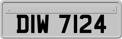 DIW7124
