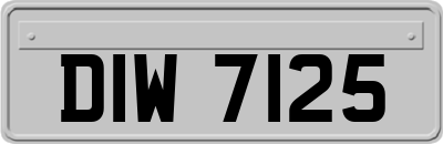 DIW7125