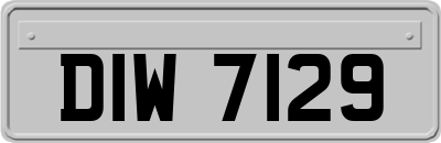 DIW7129