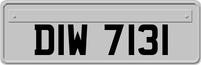 DIW7131