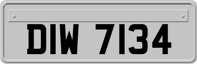 DIW7134
