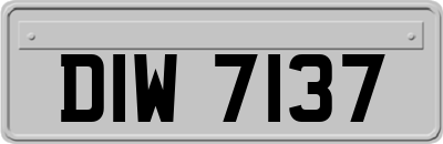 DIW7137