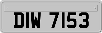 DIW7153