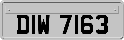 DIW7163
