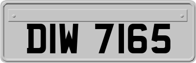 DIW7165