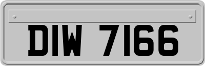 DIW7166