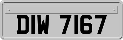 DIW7167