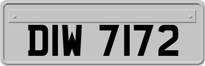 DIW7172